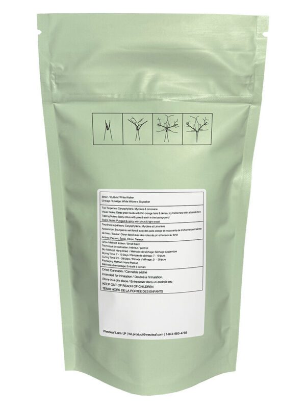 White Walker Craft 7g by Qwest