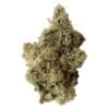 Animal Junky Premium Craft 3.5g by Seaweed