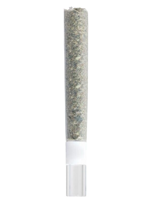 Rosin Roll Glass Tip Infused Pre-Roll Single by Be Humble.