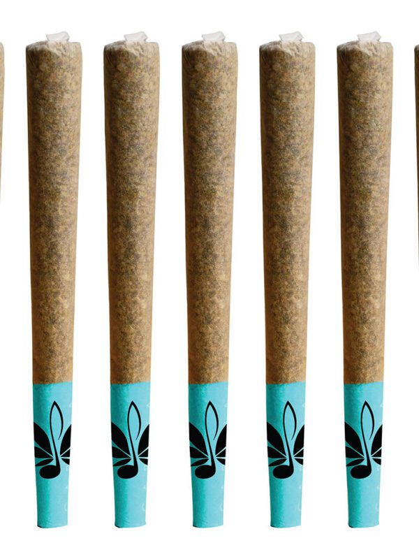 The Blues Pre-Rolls 10 Pack by High Note Hybrid at Montrose Cannabis
