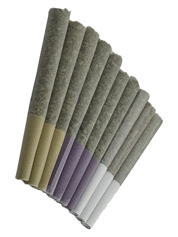 Gas Mask Variety Pack Pre-Rolls 10 Pack Dom Jackson at Montrose Cannabis