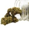 Organic CBD Flower Grown Here Farms