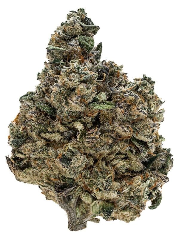 Gran Turismo 3.5g Tribal Indica Montrose Cannabis