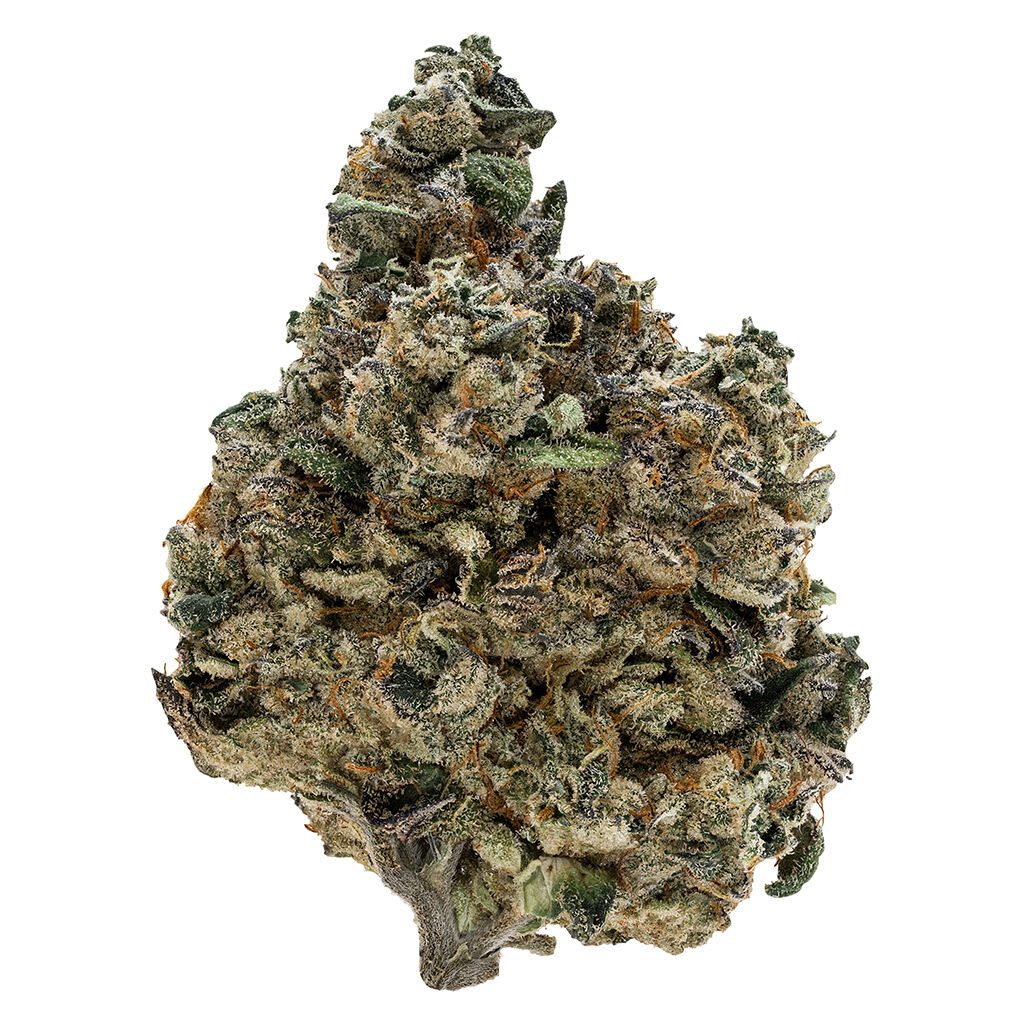 Gran Turismo 3.5g Tribal Indica Montrose Cannabis
