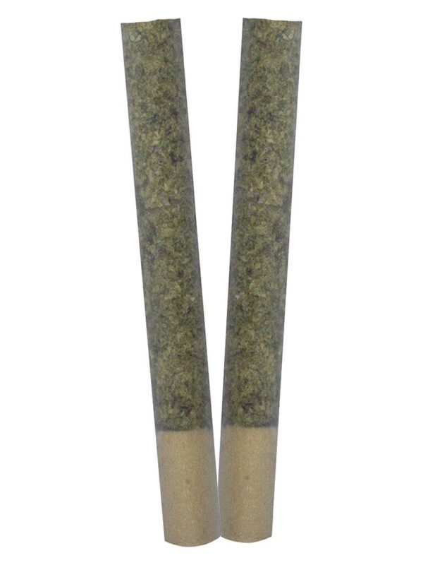 IGNITE Pre-Rolls 2 Pack by TRYGG Sativa at Montrose Cannabis