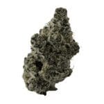Block Lobster Unit 15 Hybrid Montrose Cannabis