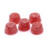 Huckleberry Basil Relief 18:1 Vegan Soft Chews 5 Pack Care by Design