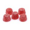 Huckleberry Basil Relief 18:1 Vegan Soft Chews 5 Pack Care by Design