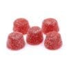 Huckleberry Basil Relief 18:1 Vegan Soft Chews 5 Pack Care by Design