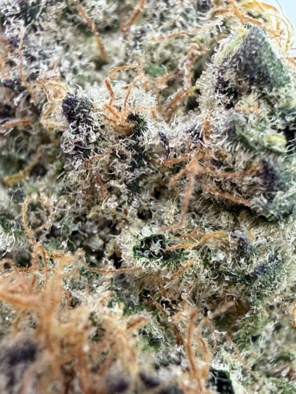 Montrose Cannabis