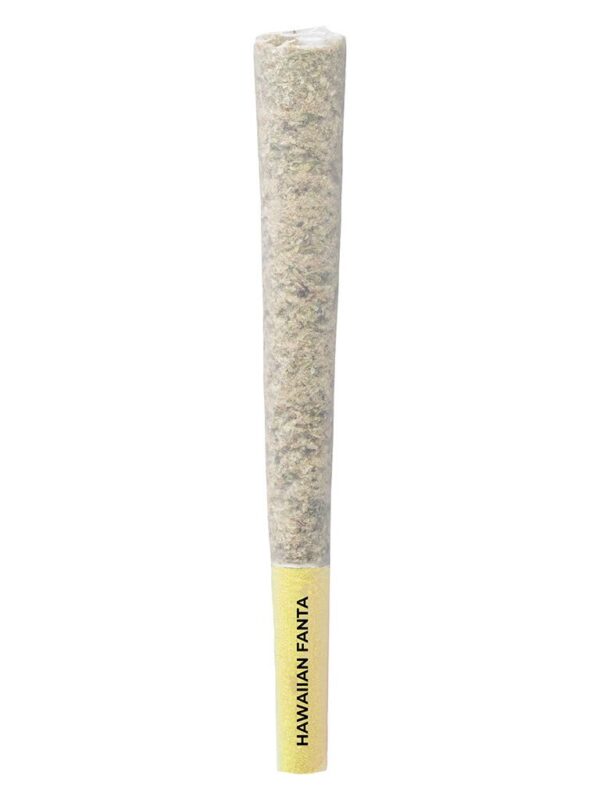 Hawaiian Fanta Pre-Rolls 10 Pack Pistol and Paris Sativa Montrose Cannabis
