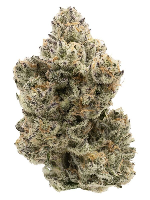The Collective Half Q 3.5g Northern Canna Indica Montrose Cannabis