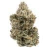 The Collective Oz 28g Northern Canna Indica Montrose Cannabis