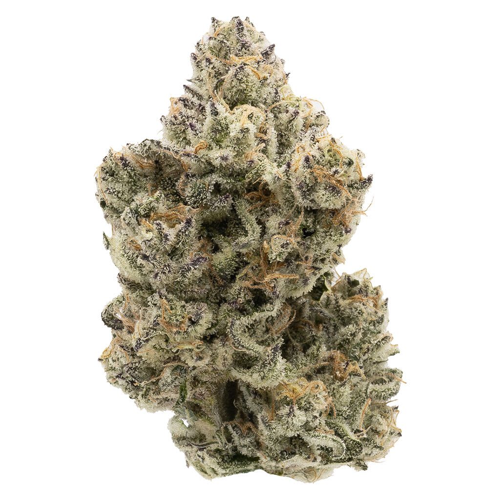 The Collective Oz 28g Northern Canna Indica Montrose Cannabis