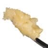 Sauce Rosin Labs Holy Grail Signature Live Rosin 1g jar showing premium wet batter texture and light golden solventless concentrate quality.
