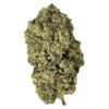 Terp Town Collective Pirate Milk 3.5g Hybrid craft cannabis flower featuring dense, frosty trichomes.
