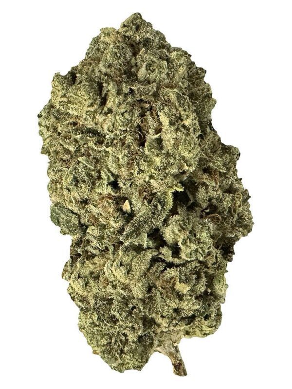 Terp Town Collective Pirate Milk 3.5g Hybrid craft cannabis flower featuring dense, frosty trichomes.