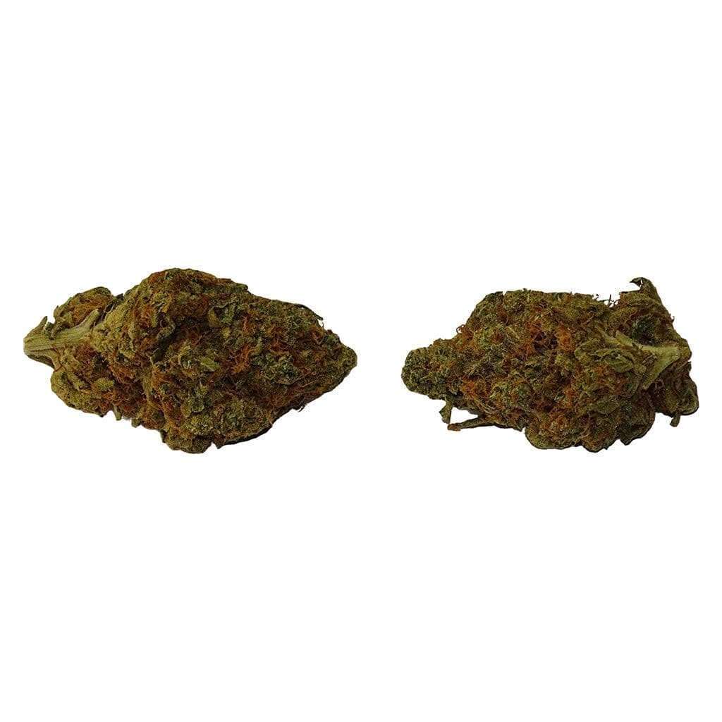 True Core Uzi 14g Sativa Big Bag featuring premium, hand-trimmed craft cannabis flower.
