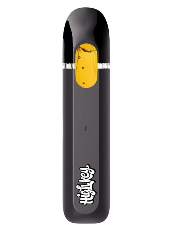 Blueberry Ice Live Resin 1:1 CBD Disposable Vape 2g by High Key - Montrose Cannabis
