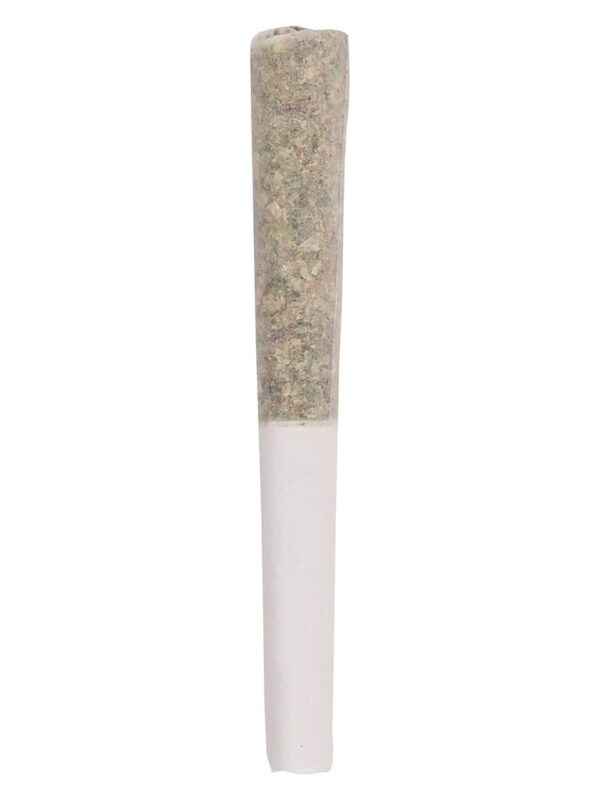 5 Points Durban Poison Pre-Rolls cannabis pre-rolls multi-pack close-up at Montrose Cannabis