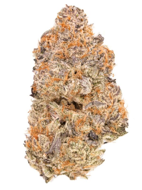 Chopper's Pick 28g Eastcann - Montrose