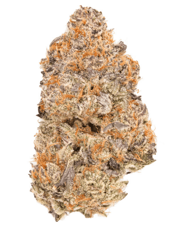 Chopper's Pick 28g Eastcann - Montrose