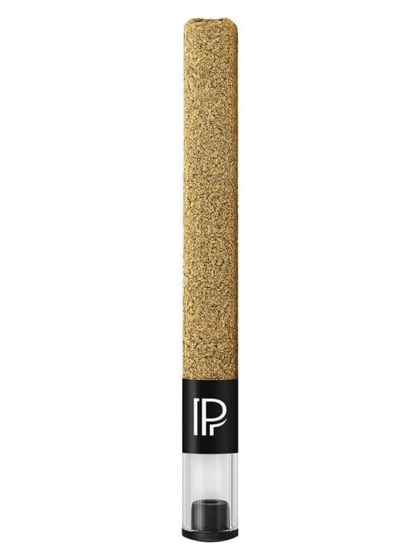 Golden Boot Hash Infused Kief Coated Pre-Roll Single | Pistol and Paris