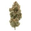 BC Organic Tangerine Sunrise 3.5g premium organic sativa cannabis flower by Simply Bare, available for local delivery from Montrose Cannabis.