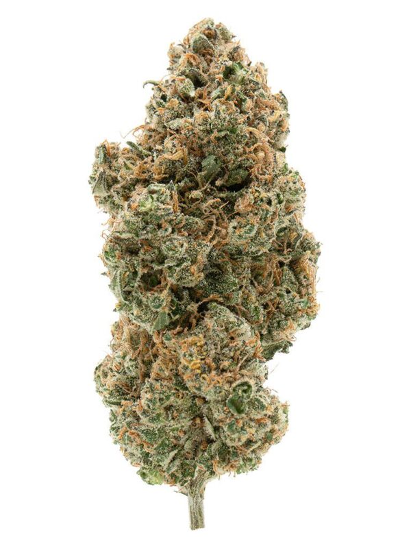 BC Organic Tangerine Sunrise 3.5g premium organic sativa cannabis flower by Simply Bare, available for local delivery from Montrose Cannabis.