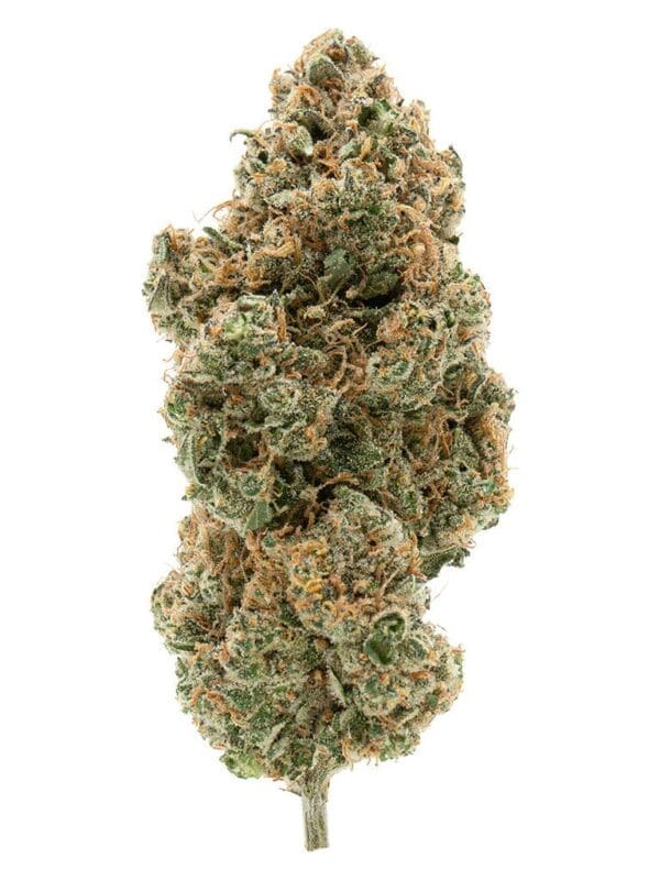 BC Organic Tangerine Sunrise 3.5g premium organic sativa cannabis flower by Simply Bare, available for local delivery from Montrose Cannabis.