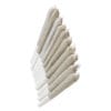 Gastro Pop Pre-Roll 10 Pack | EastCann | Multi-Pack | Montrose