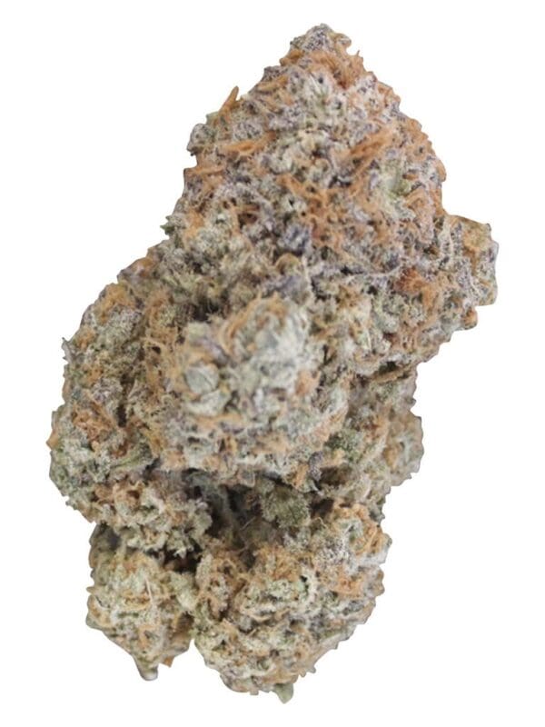 Oreoz X Orange Punch 7g | Dazed N' Confused | Hybrid | Montrose Cannabis