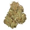 Jean Guy CBD 3.5g balanced sativa dominant cannabis flower by Orchid CBD, available for local delivery from Montrose Cannabis.