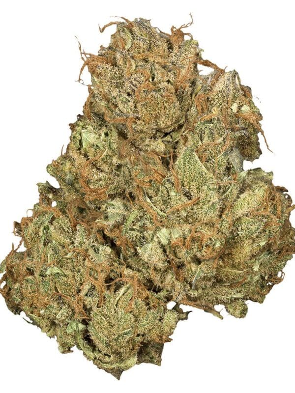 Jean Guy CBD 3.5g balanced sativa dominant cannabis flower by Orchid CBD, available for local delivery from Montrose Cannabis.