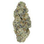 Perma Fried 14g premium indica dominant cannabis flower by Pistol and Paris, available for local delivery from Montrose Cannabis.