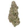 Envy 3.5g premium craft indica cannabis flower by Carmel, available for local delivery from Montrose Cannabis.