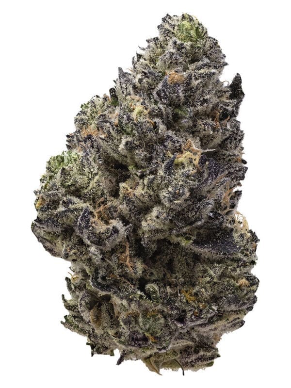 Permanent Chapo 7g | Pistol and Paris | Indica Strain | Montrose Cannabis