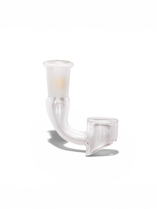 Rear view of the Quave Club Bangers Small Size showing clear quartz bucket, curved neck, and frosted joint.