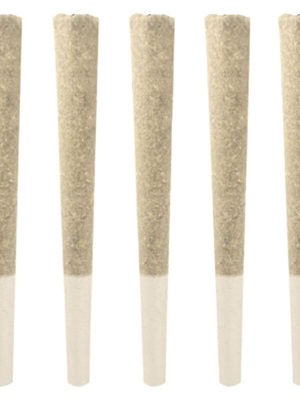 Dom Jackson Gas Pack Pre-Rolls 5 Pack | Montrose